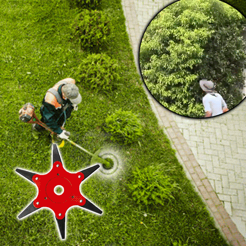 AEXZR® Testina di taglio in acciaio a 6 lame