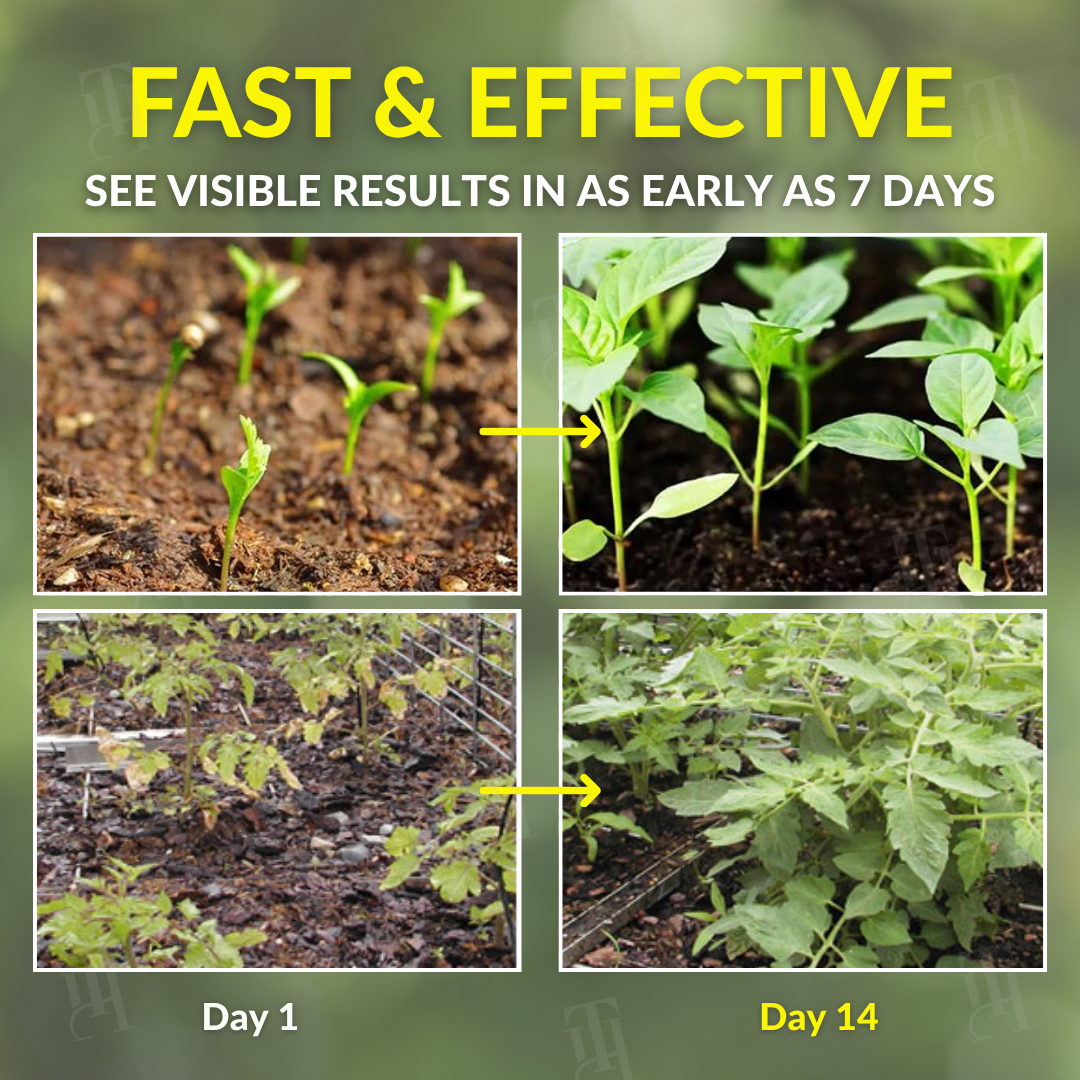 AEXZR® Soluzione Vita-Enzyme 2 in 1