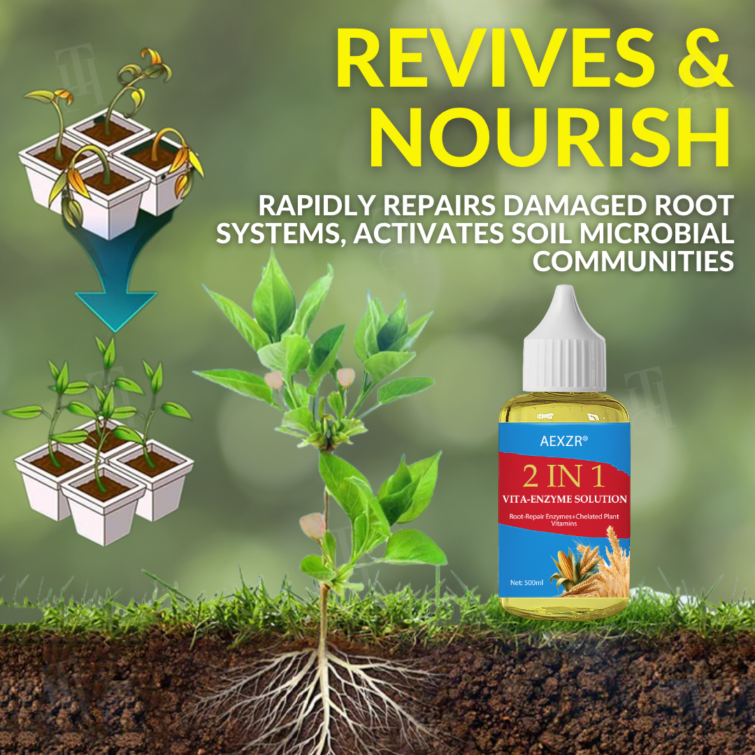 AEXZR® Soluzione Vita-Enzyme 2 in 1
