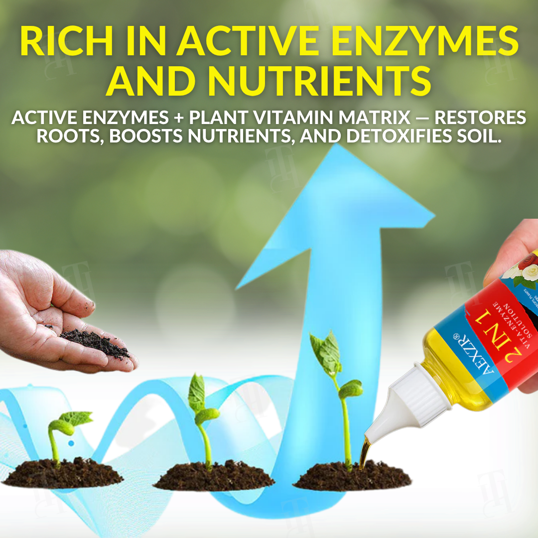 AEXZR® Soluzione Vita-Enzyme 2 in 1
