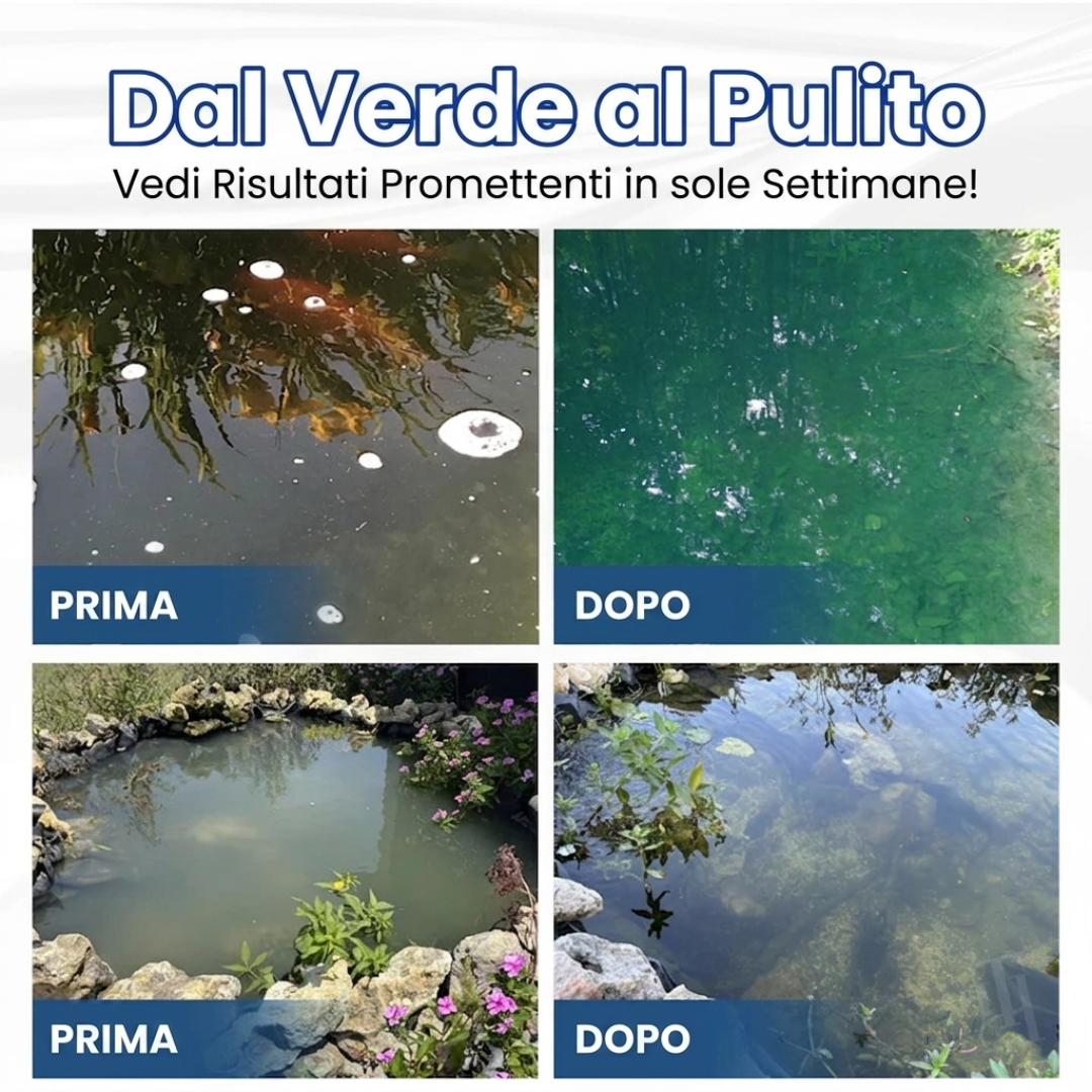 🌊 Acqua Cristallina in 24 Ore | AEXZR® Aqua-Guardian Formulazione Pro
