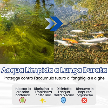 🌊 Acqua Cristallina in 24 Ore | AEXZR® Aqua-Guardian Formulazione Pro