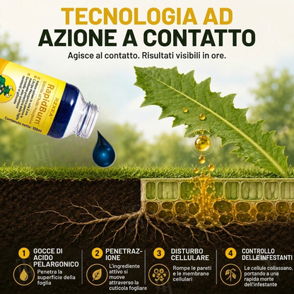 🏆 Nuovo aggiornamento | RZXEA™ RapidoBrucia Erbicida ad Acido Pelargonico