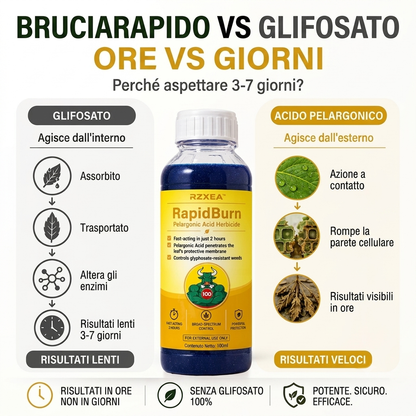 🏆 Nuovo aggiornamento | RZXEA™ RapidoBrucia Erbicida ad Acido Pelargonico
