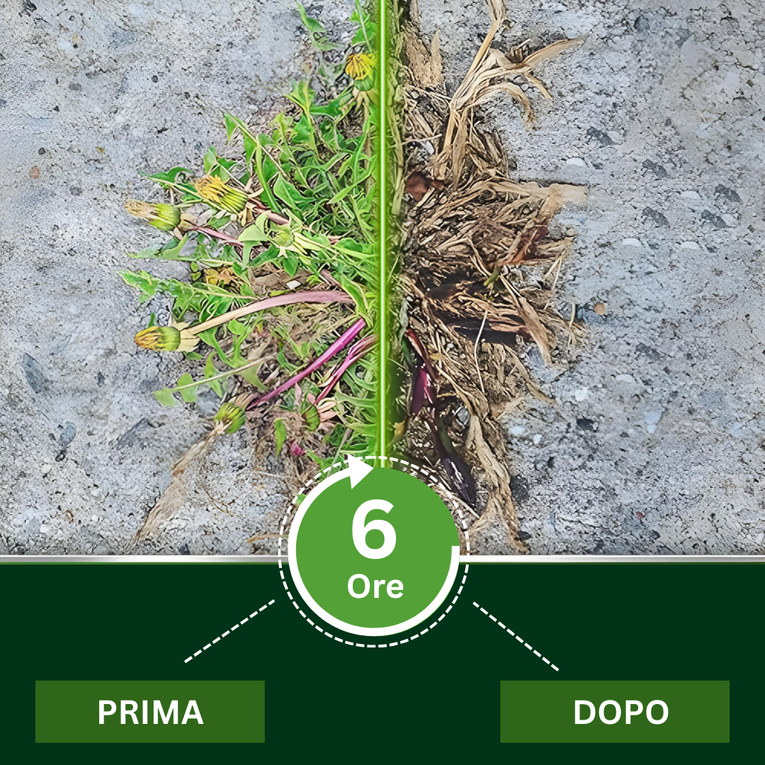 🌿 Elimina le Erbacce in 6 Ore, Non in Giorni AEXZR® Erbicida 2-in-1 Max Power