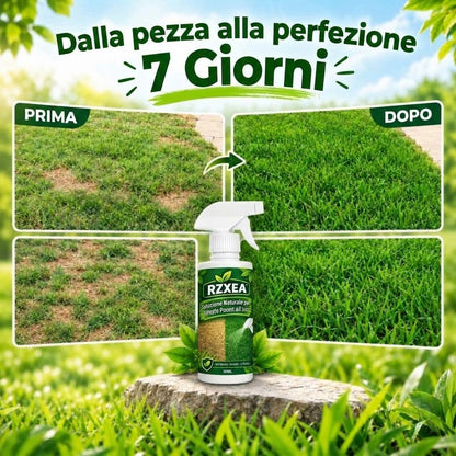 🔥OFFERTA 2026 RZXEA™ Soluzione Naturale per il Prato Pronta all'uso