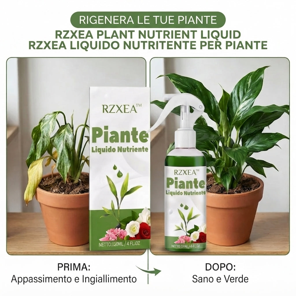 🏆 Nuovo aggiornamento | RZXEA™ Soluzione Nutritiva per Piante Pronta All'Uso