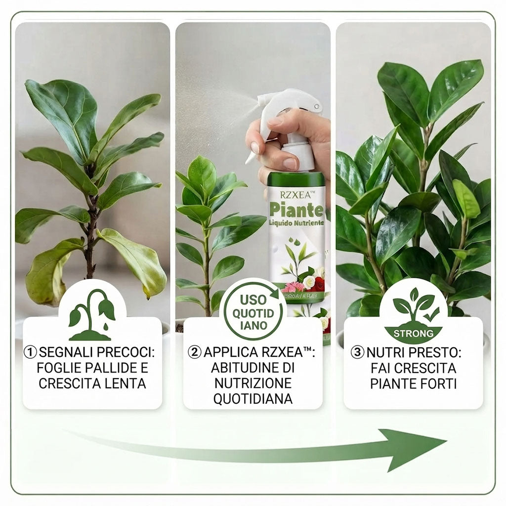 🏆 Nuovo aggiornamento | RZXEA™ Soluzione Nutritiva per Piante Pronta All'Uso