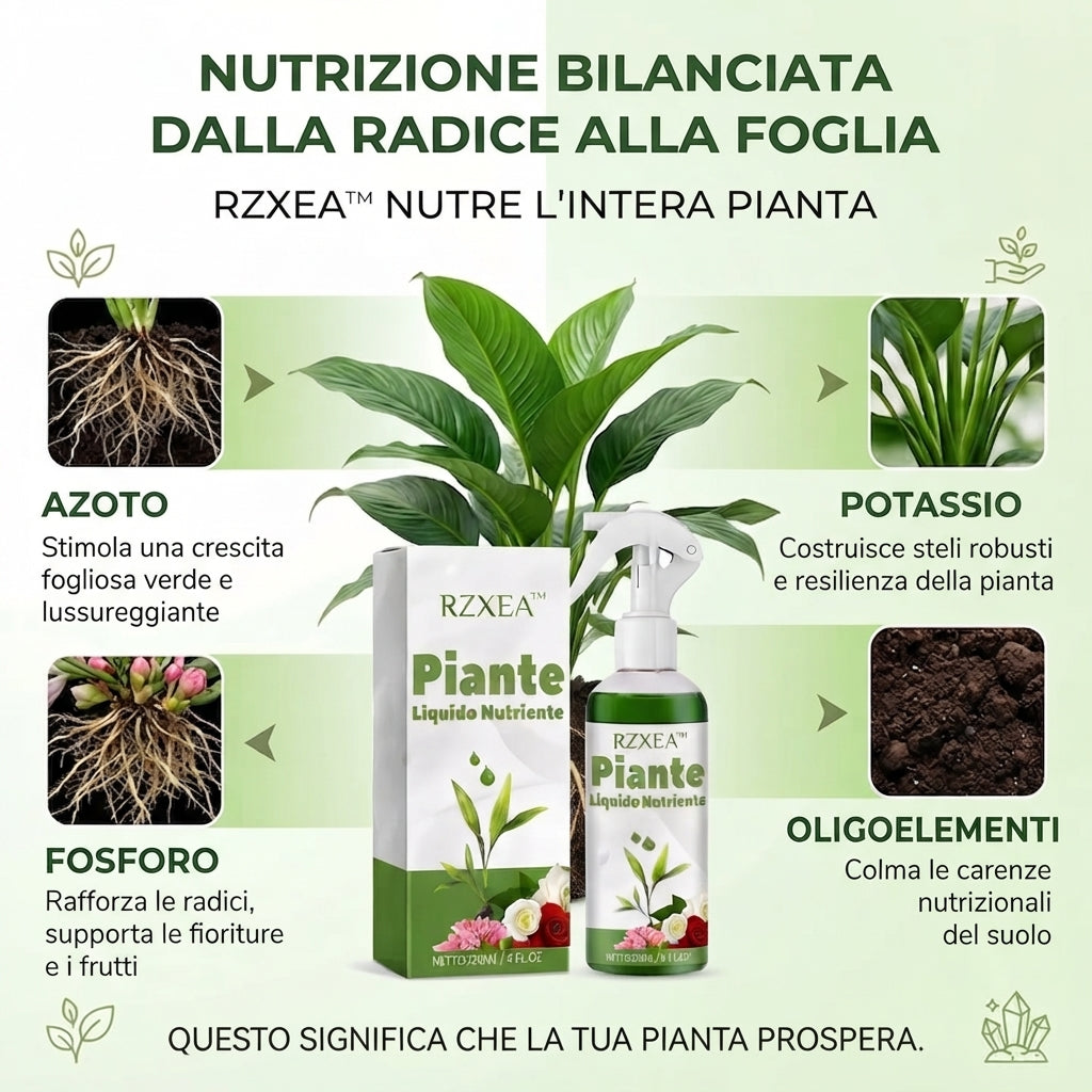 🏆 Nuovo aggiornamento | RZXEA™ Soluzione Nutritiva per Piante Pronta All'Uso
