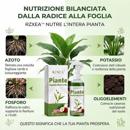 🏆 Nuovo aggiornamento | RZXEA™ Soluzione Nutritiva per Piante Pronta All'Uso