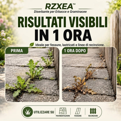 🏆 Nuovo aggiornamento | RZXEA™ Diserbante Pronto All’uso Contro Erbacce ed Erba