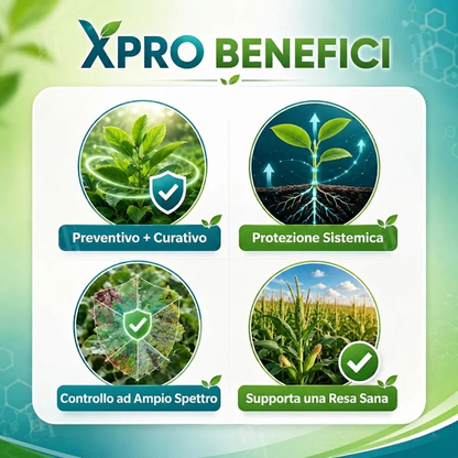 🏆 Nuovo aggiornamento | RZXEA™  Xpro Protioconazolo Fungicida Sistemico