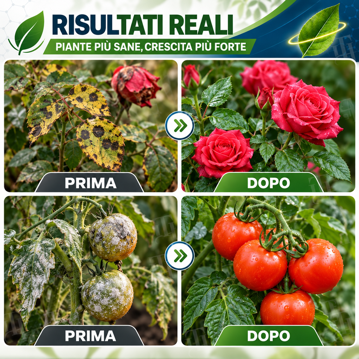 🏆 Nuovo Aggiornamento | RZXEA™ Pronto All'uso Protioconazolo Fungicida Sistemico